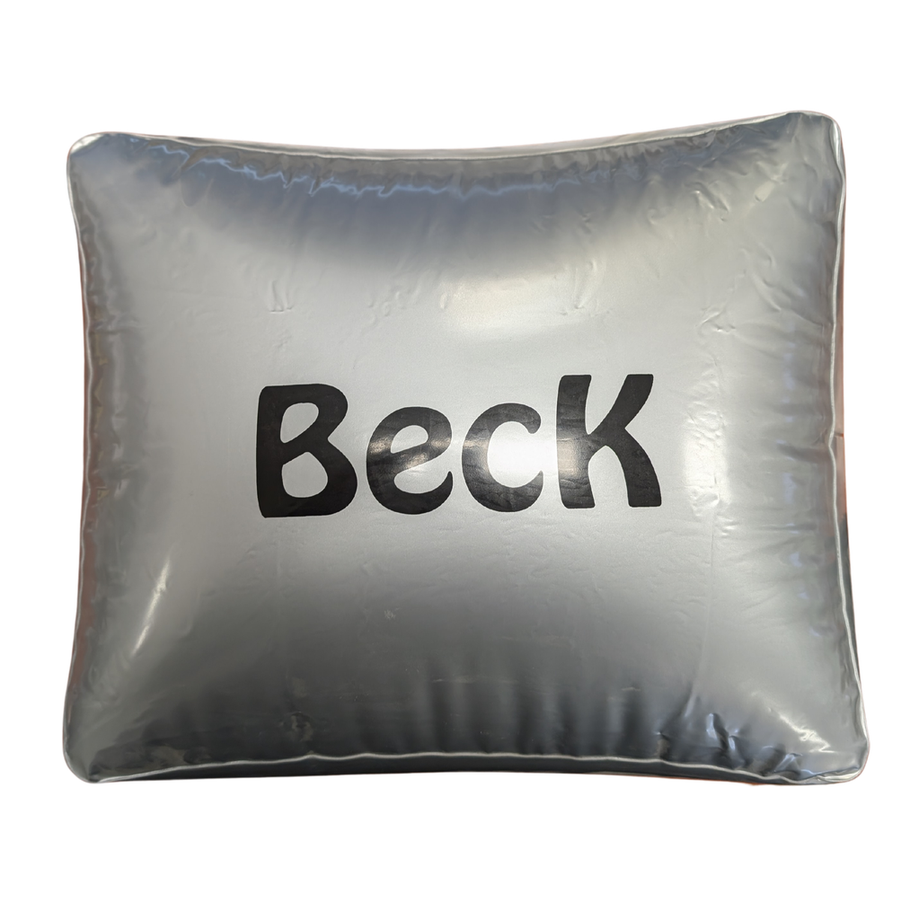 Fris! Beck pillow
